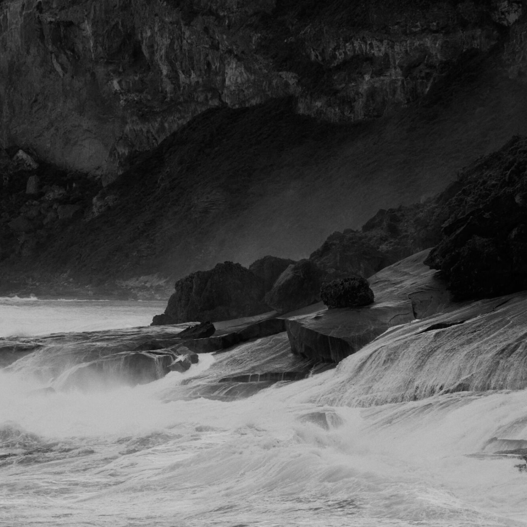 AGAINST THE WILDNERNESS BY WONG PHUI NAM🌊
When the valley dawned about us, we sensed
that we had come, each to our particular end.
⛵Subscribe to read portsidereview.com/subscribe