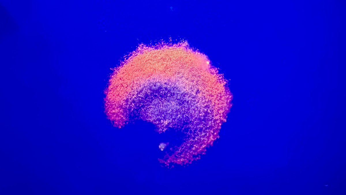 Josh McGinnis tweet media