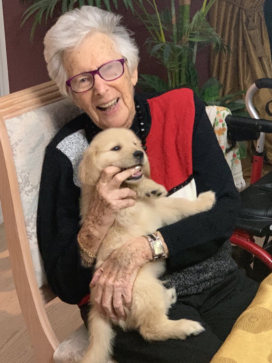 Love My 7 Wood tweet media