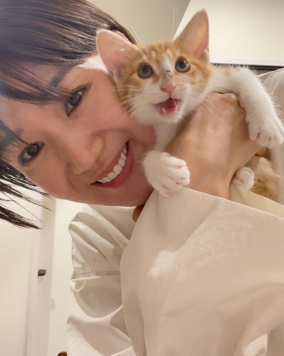 megumikurihara's tweet photo. 末っ子福ちゃん
うちの子記念日🐈
私のところに来てくれて本当にありがとう💛
出逢えて幸せです😊 https://t.co/S81OuOiMOr