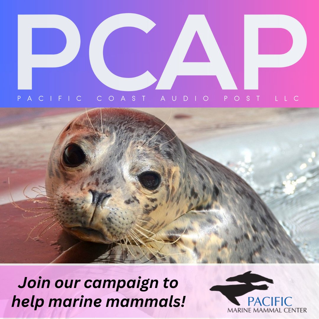 PACIFIC COAST AUDIO POST LLC tweet media