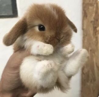 nzseduct's tweet photo. vá pro pinterest.

"seu nome core"
"seu nome baking"
"seu nome autumn"
"seu nome pets"
 
Me identifiquei 100%. https://t.co/PQtTWEGG7h
