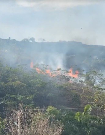 radiosupercali's tweet photo. #ATENCIÓN ➡️🚨Fue capturada una mujer que presuntamente estaría provocando un incendio forestal en el cerro de Los Cristales, occidente de la ciudad, cerca al proyecto de Cristo Rey, el incendio fue controlado y la mujer fue puesta a disposición de la fiscalía.⬇️ https://t.co/q2uOtm0clF