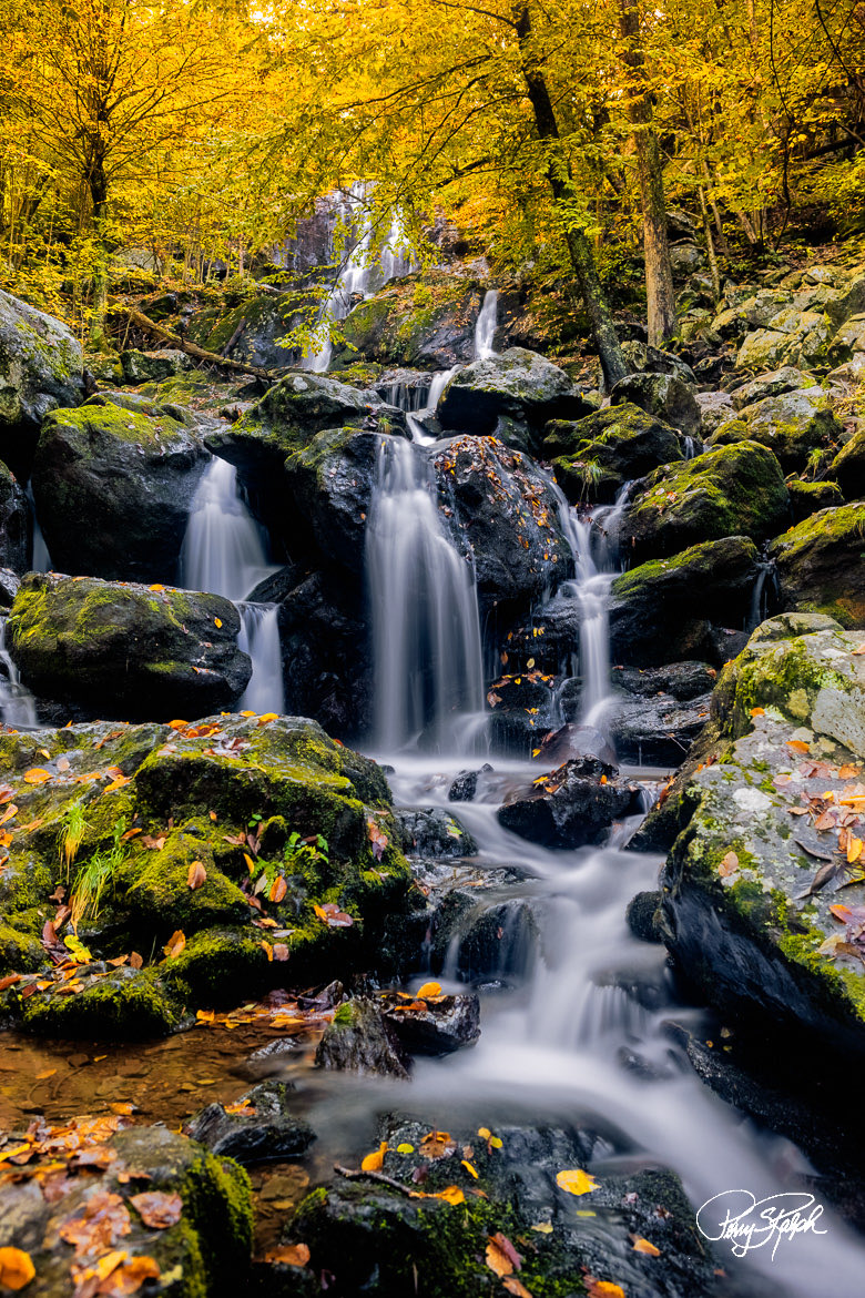 @xobreex3 #RockinTuesday Dark Hallows Waterfall in Shenandoah National Park. #waterfall #ShenandoahNationalPark #Virginia