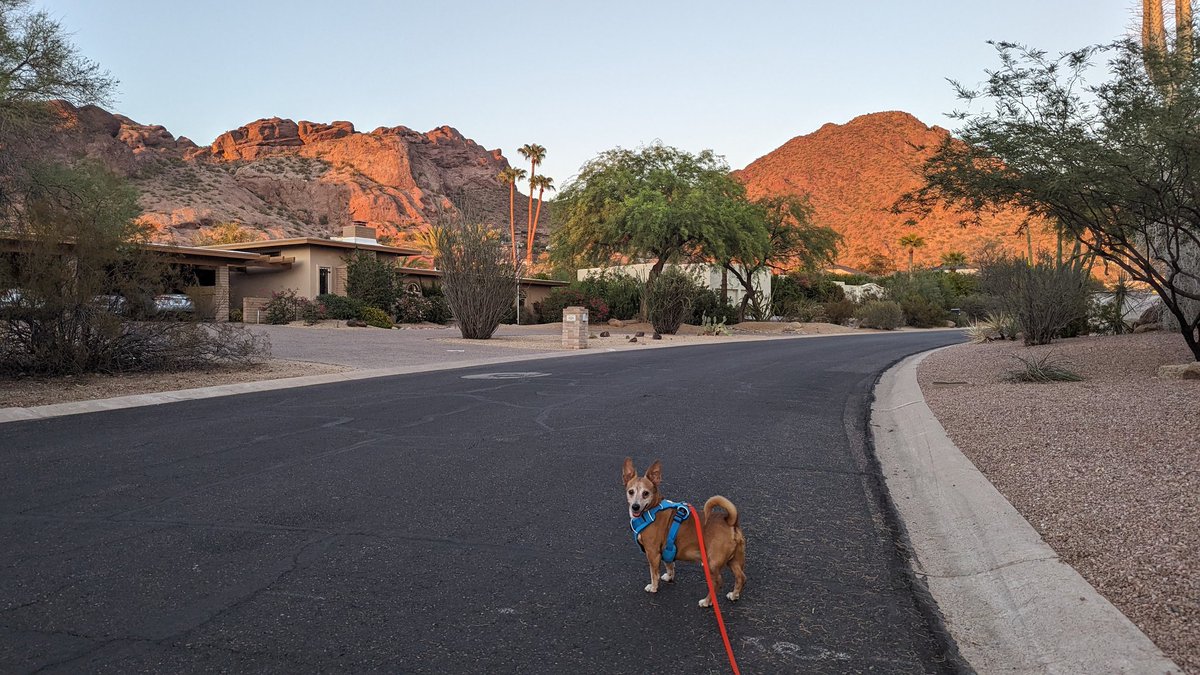 HillaryHutton's tweet image. Mountain&apos;s calling!
#Camelback