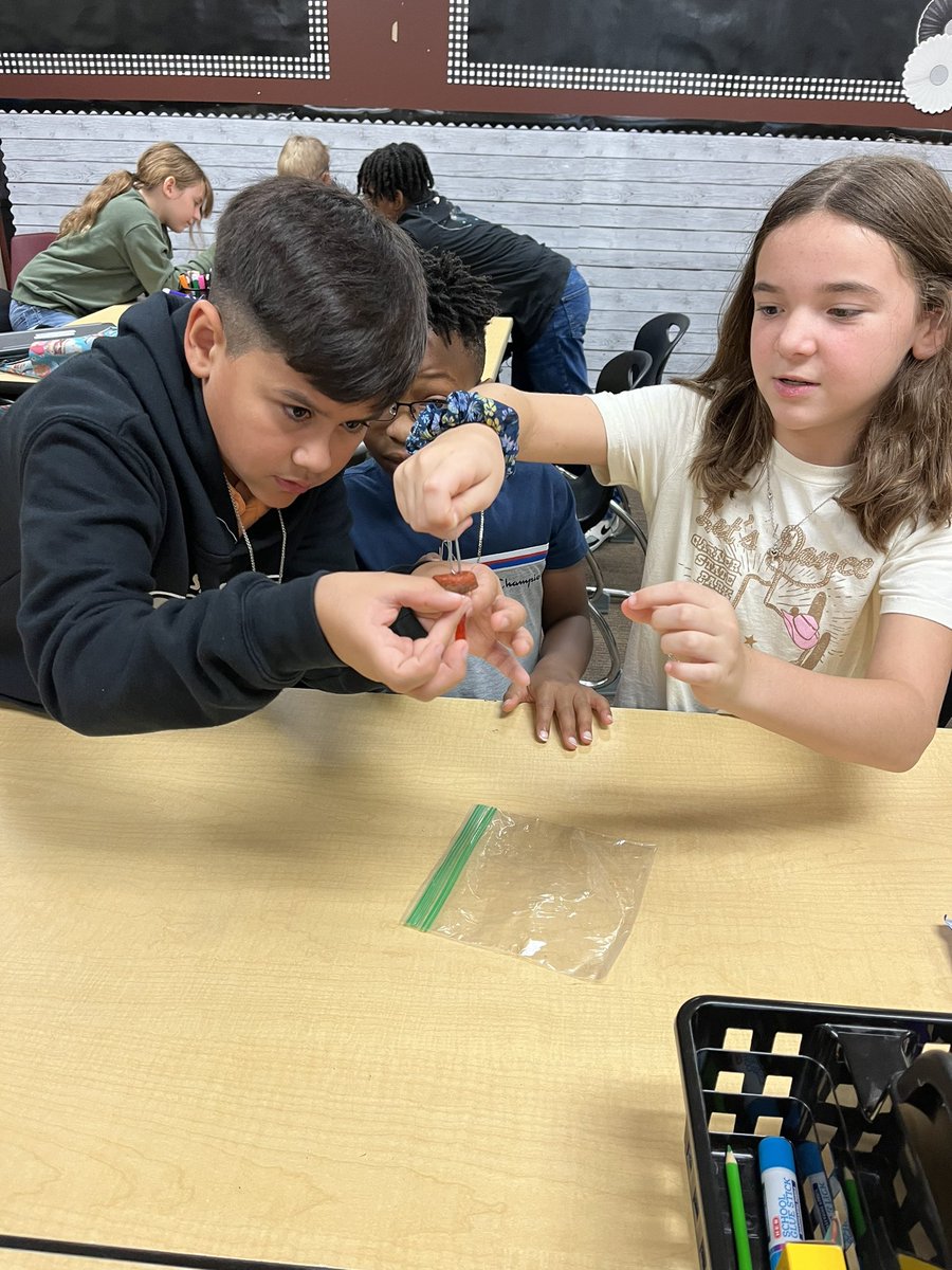 Krista Hulsey tweet media