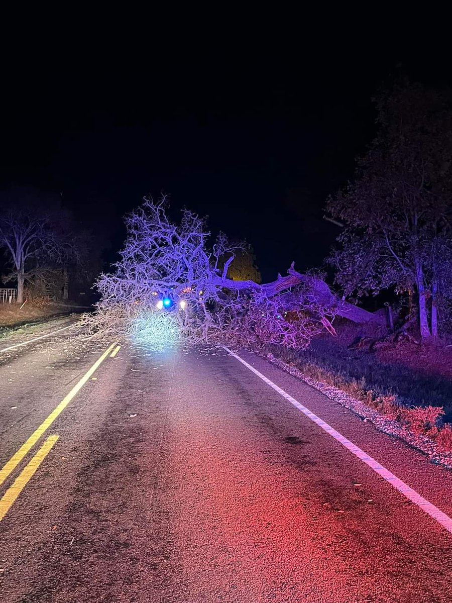 FlattenTabatha's tweet photo. 100 blk of FM 1696

Tree across the road..

Cpfd -Walker County Tx

@HoustonAreaWX https://t.co/y6qyMlUhqJ