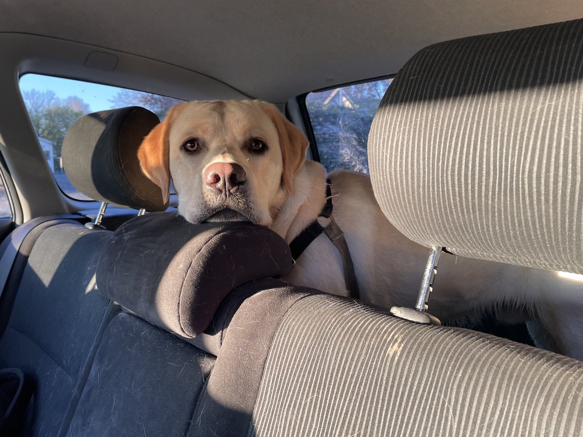 robmclennan's tweet photo. Do we have to go yet?? https://t.co/IflFFaST2s