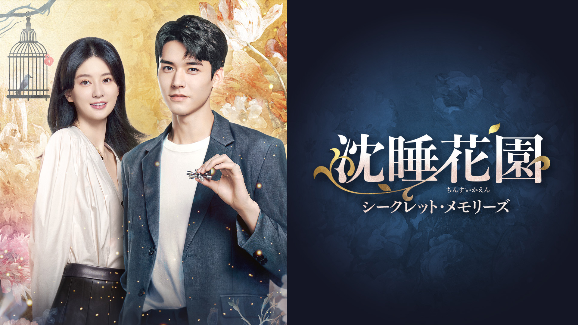 愛よ、愛 DVD-BOX3 愛よ、愛 DVD-BOX3