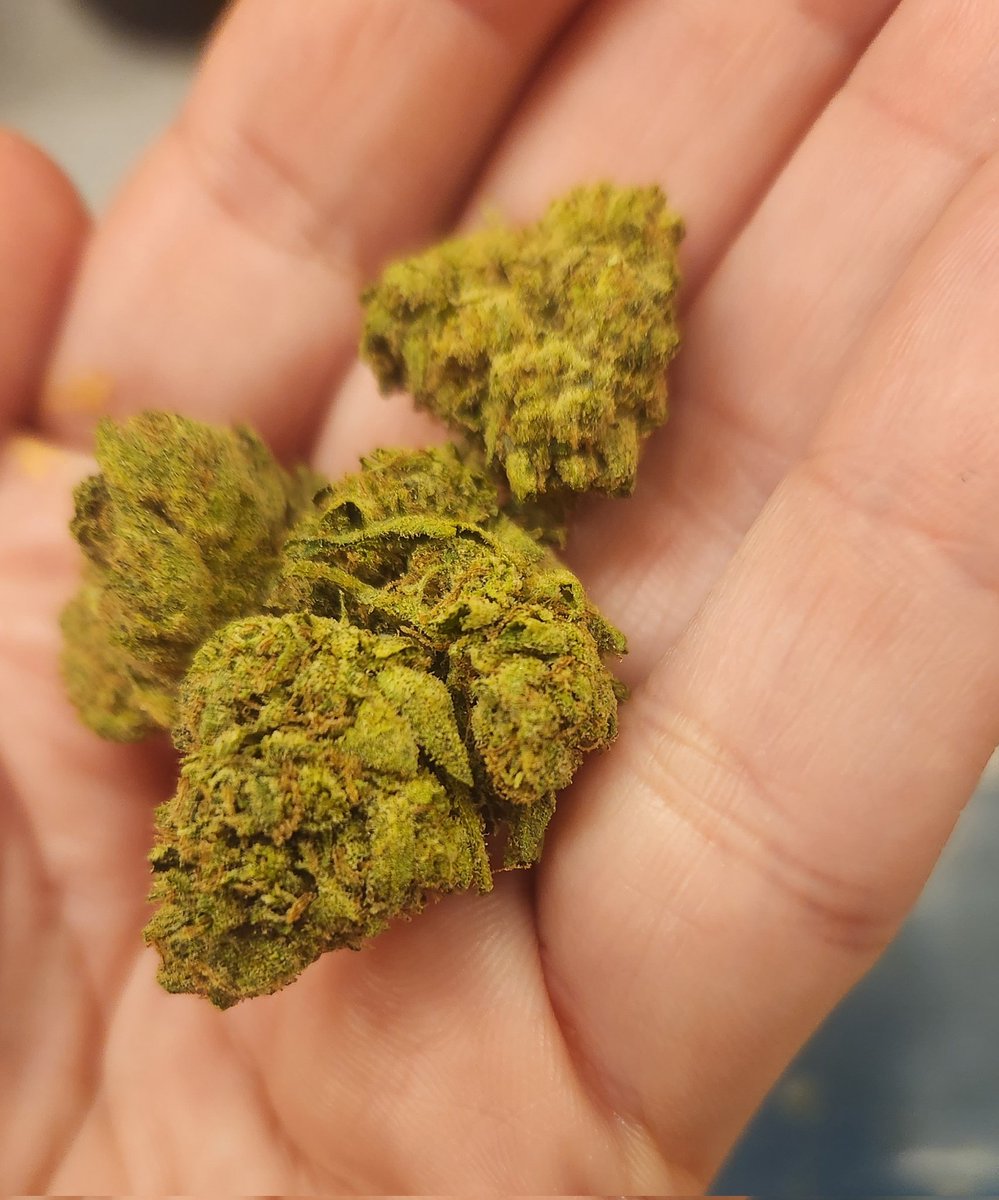 🍑ℙ𝕖𝕒𝕔𝕙𝕖𝕤🍃💨 tweet media
