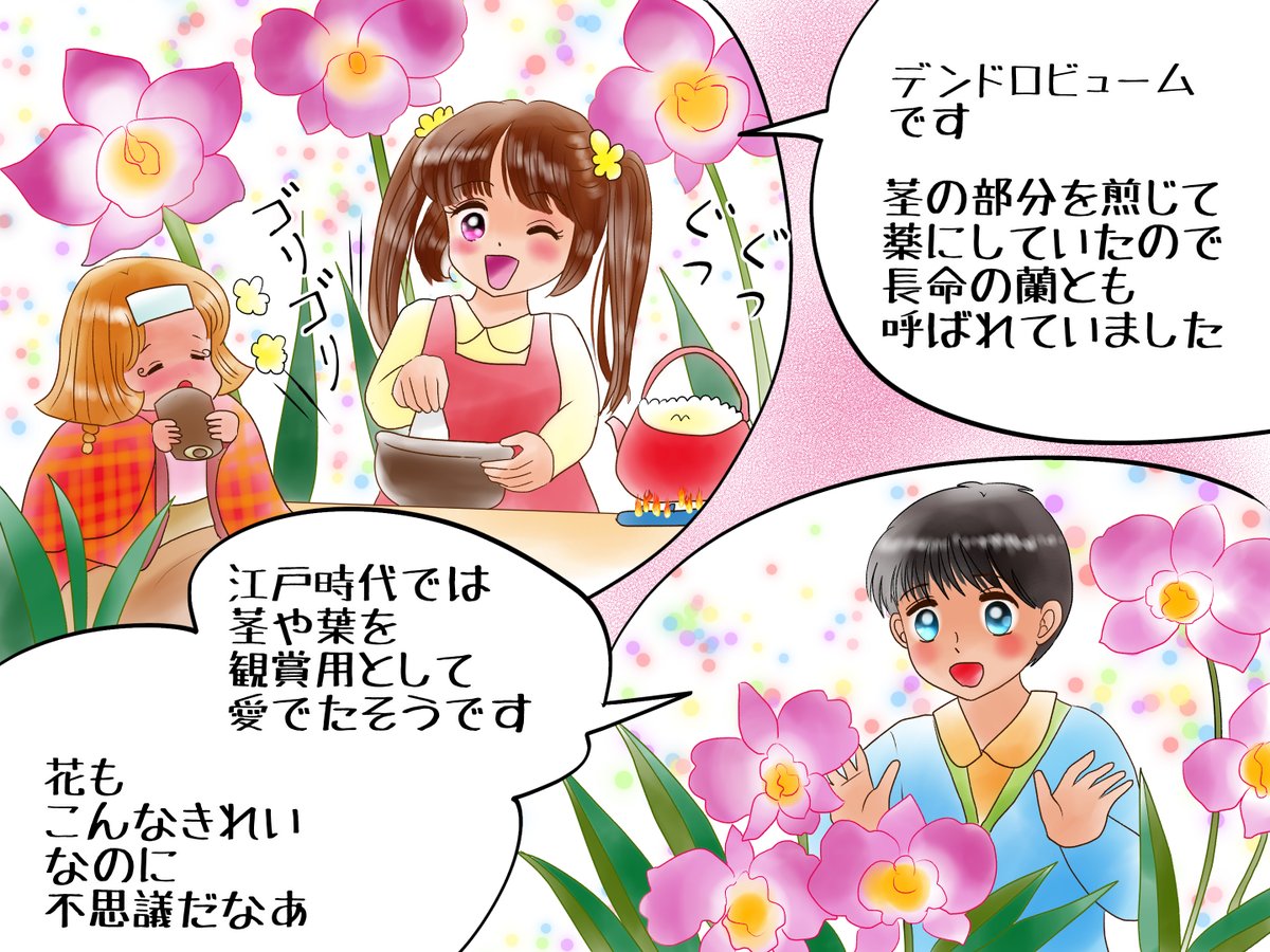 答えはデンドロビュームです
日本では石斛(セッコク、セキコク)と
呼ばれるものがデンドロビュームの仲間です。
別名「長生草」「長生蘭」「岩薬」
「少名彦薬根(すくなひこのすくね)」
茎の部分を漢方として
煎じて飲んだためのようです。
クイズのページです https://t.co/c3Mu7IGzZ5