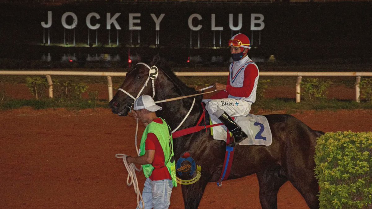 jockeyclubdelpy's tweet photo. ✅ En el #HipódromoDeAsunción se disputó la Cuarta Carrera, #GP. Inauguración del Hipódromo de Asunción - Hom. al Socio Vitalicio Julio Cartasso - 2.000mts, dónde se impuso #DomPablo, con la conducción #JuanFigueredo, entrenado #JulioOrtellado, defendió los colores del #StudJC. https://t.co/EoDQAmzIEG