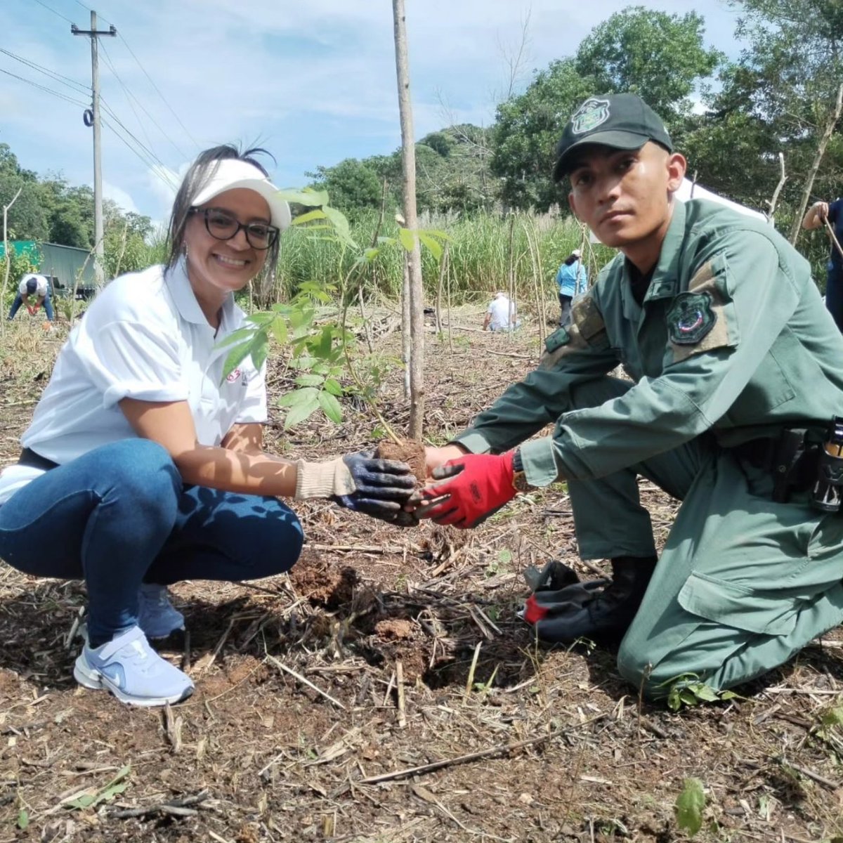 adoptabosque's tweet photo. Tuvimos una productiva jornada de Reforestación junto a los amigos de #RicardoPerez @ToyotaPanama en alianza con @leafsinc y con apoyo de la Policía Ambiental #DINAPART @ProtegeryServir PN Camino de Cruces, Programa Nacional de Restauración Forestal #PNRF @MiambientePma
#Restaura https://t.co/LEk6WLzOC7