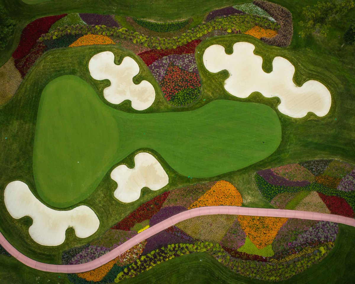 Patrick Koenig tweet media