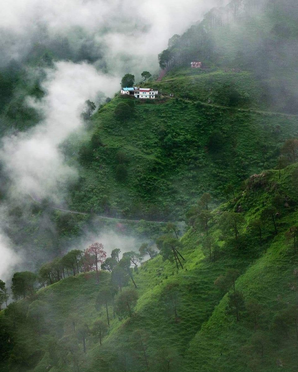 Heavenly view ⛰️☁️
.
.
.
📷 IG: humanorously_yours
.
.
#nikonindiaofficial
#nikonasia #kasauli #kasaulihills #incredibleindia #himalayas #lonelyplanetindia #indianphotography #beautifuldestinations #bbctravel #inspiroindia #indiapicture #dekhoapnadesh