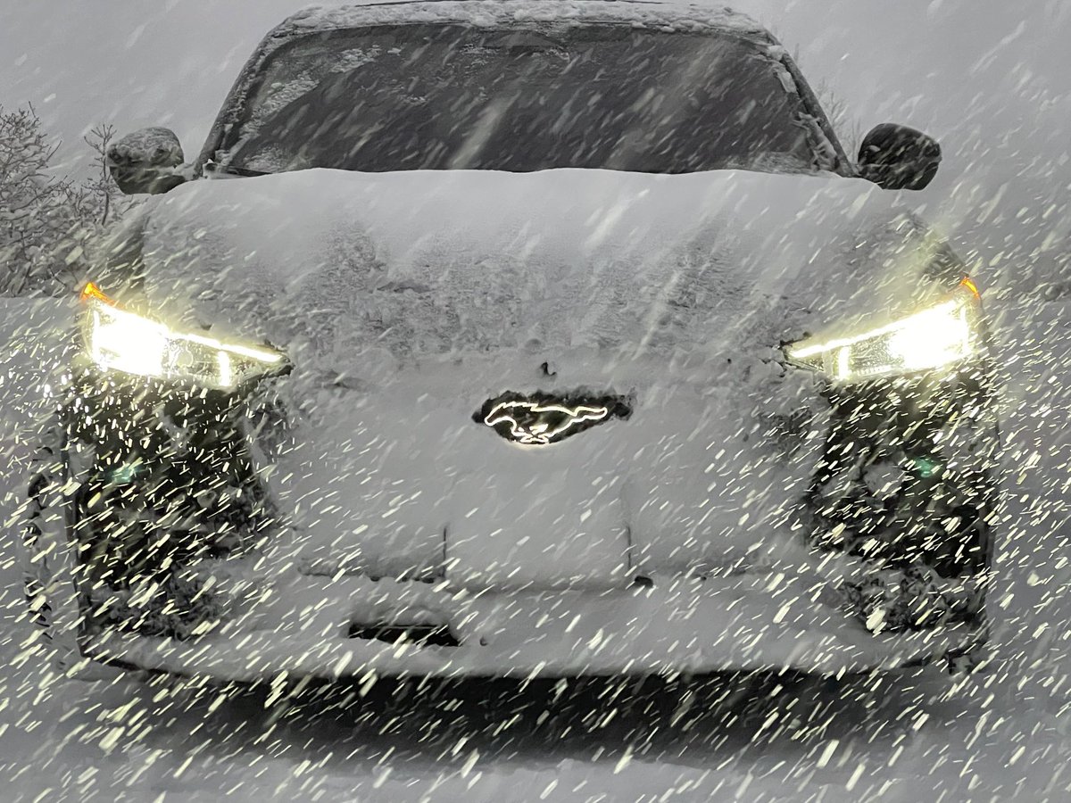 Kevin Shaughnessy tweet media