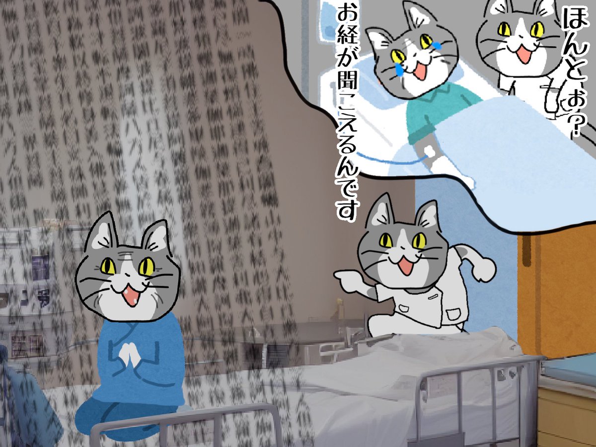 現場猫 #看護師 ほんとじゃねーか！ 信心深いのは別に良いですが電話室