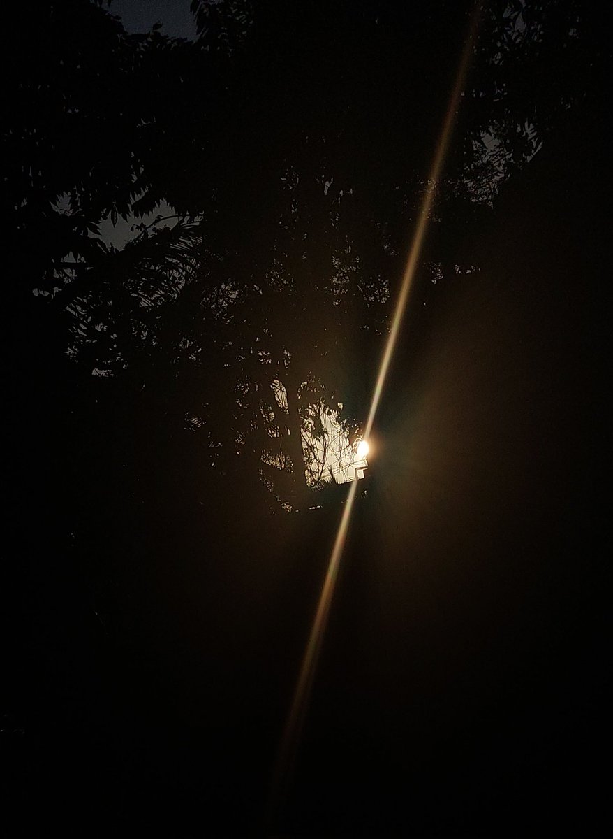 NikhaSab's tweet photo. A ray of glow🪄 or A glow of ray🪄
How it feels🌞
when one member of the Universe is always available for us♥️
#OMG #Wow #SUN #Sundiaries #Sun #Sunrise #Sunset #Sunlove #Sunsetlover
#sunsetphotography #Sunrisephotography #Selfclick https://t.co/xT3jQ2HOyb