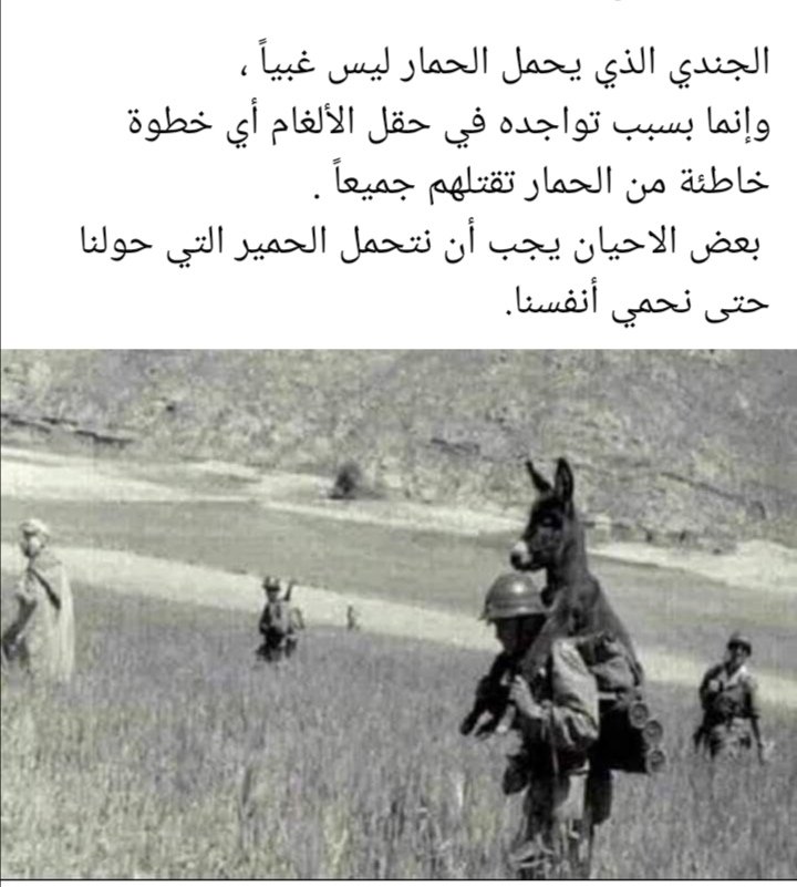 امير الحب (@wjvidn) on Twitter photo 