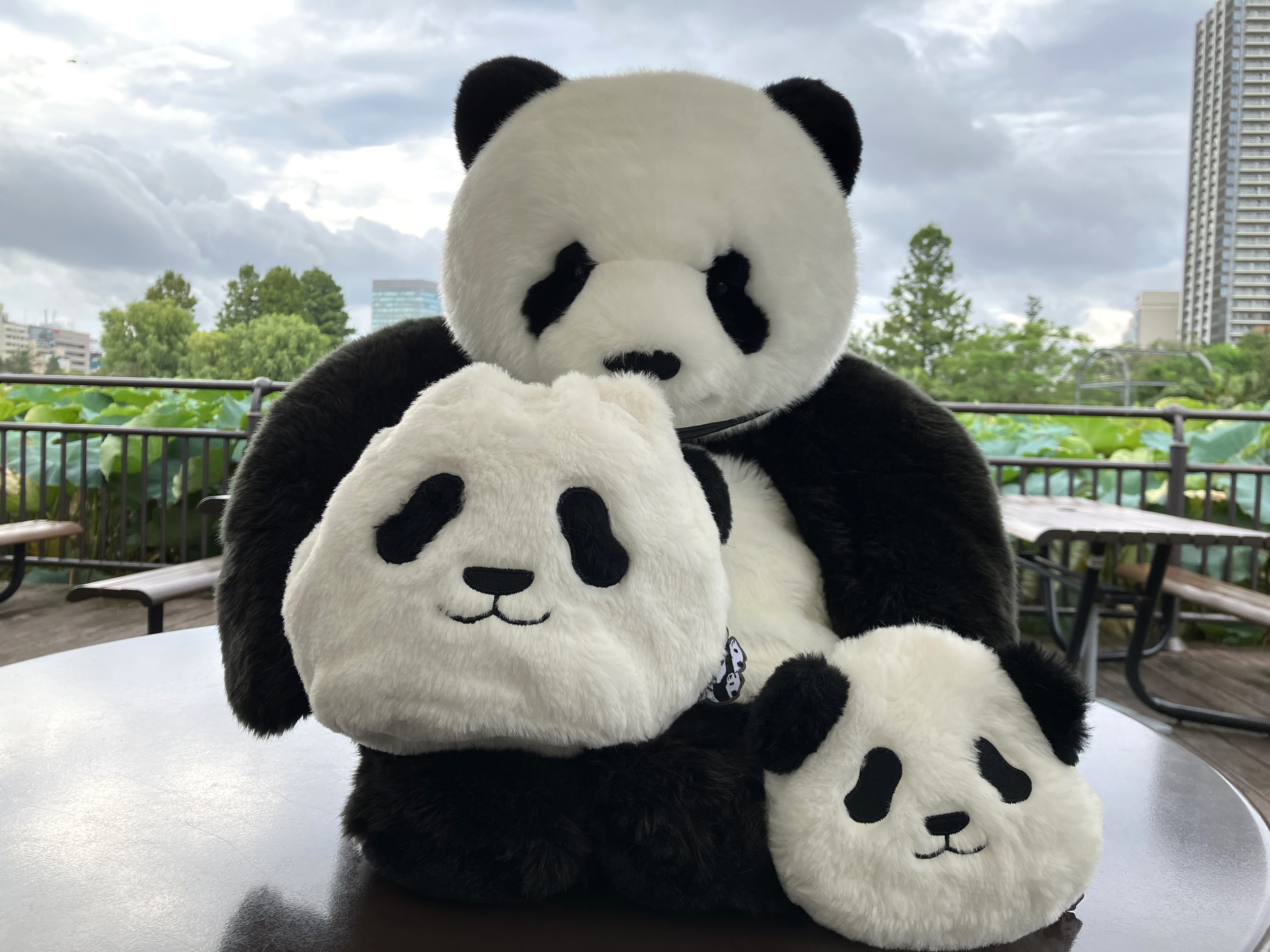 上野動物園［公式］ on X: 