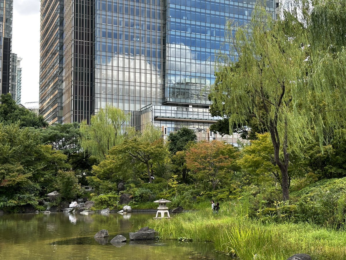 Kakarot_F23's tweet photo. Tokyo Inspiring trip ๐ฏ๐ต full of insight about future wellness ๐ง๐ป A zen place for modern life ๐ !waao
#WellnessAi #YGPZ https://t.co/2SMZVffV0d