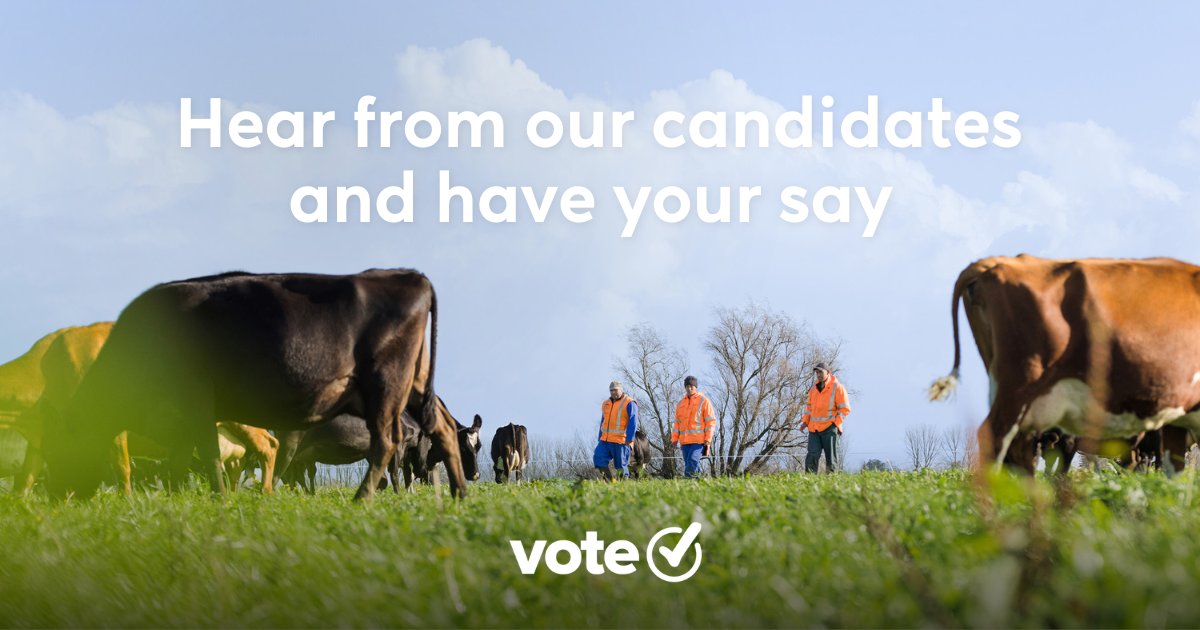 Levy payers are invited to hear from this year’s Board of Director candidates, with a chance to ask questions at two online meetings this week, hosted by @FedFarmers, 7pm start. bit.ly/dnz-candidates… or bit.ly/dnz-candidates…. Voting is now open - dairynz.co.nz/agm.