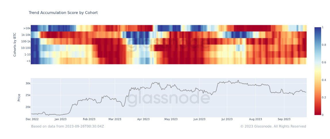 Accumulation Score by cohort: (Source: Glassnode)