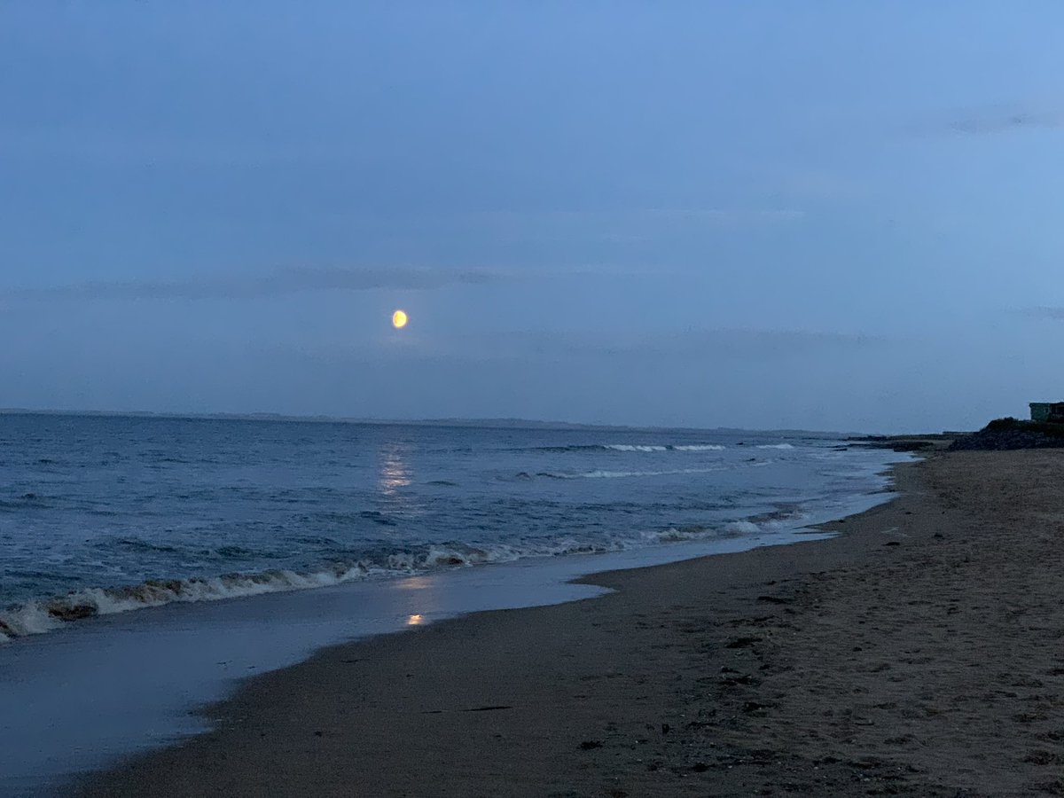 DRnaturegirl's tweet photo. Last night’s beach walk, accompanied by the moon. Camera’s not great with low light.

#Scotland #scottishhighlands #embobeach #moon #reflections #nofilter https://t.co/zhxHbmPuap