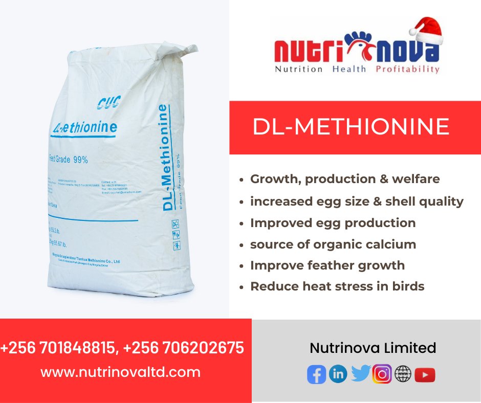 nutrinoval's tweet image. 🐔Ever noticed the peculiar cup-shaped feathers in chickens? They might signal a lack of essential DL-Methionine in their diet. DL-Methionine, a key amino acid, offers various benefits:
Get DL-Methionine at our outlets
#Nutrinovalimited #PoultryNutrition #AminoAcids #FeedAdditive