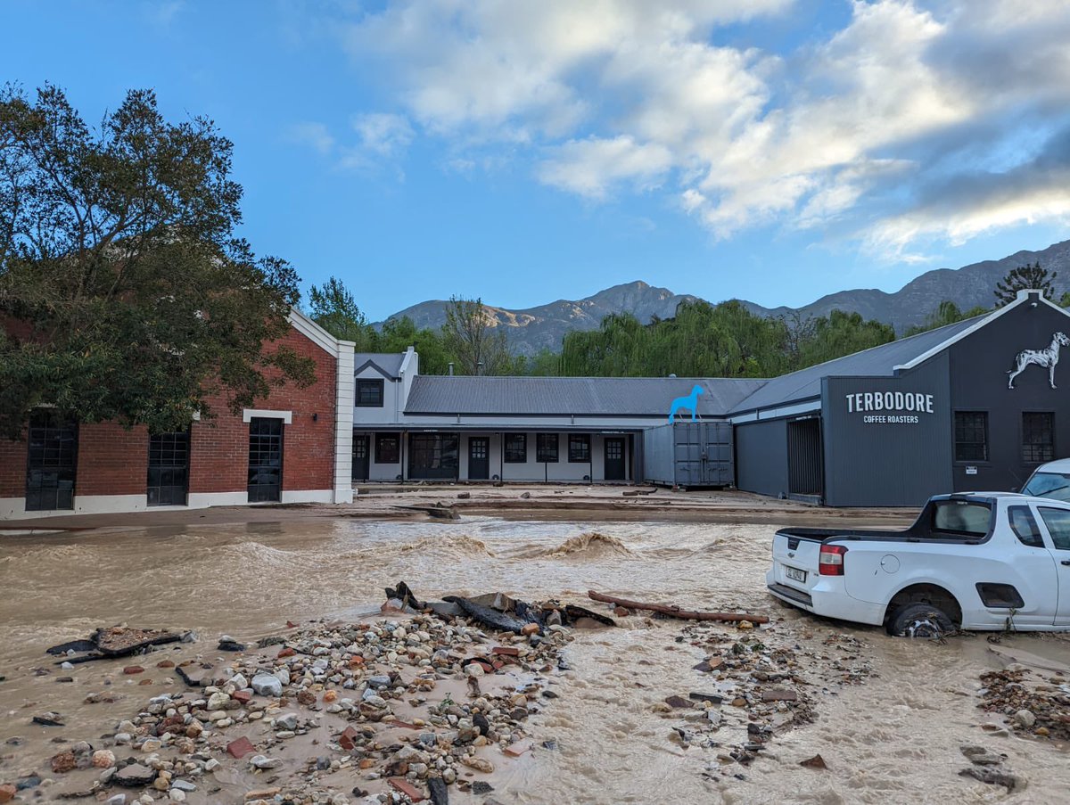 Terbodore Coffee tweet media