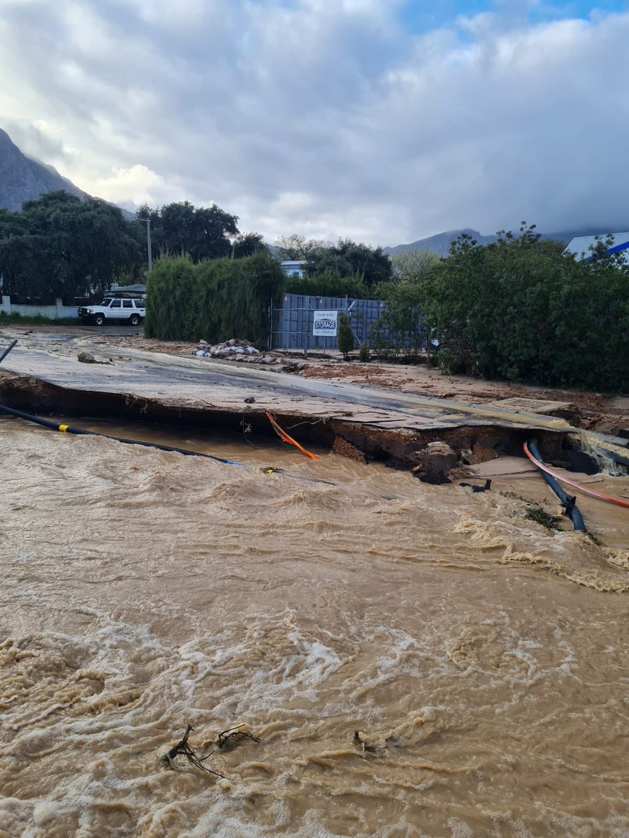 Terbodore Coffee tweet media