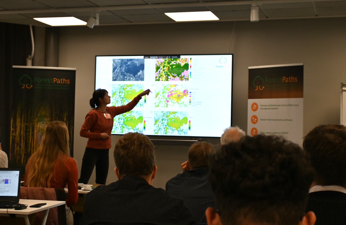 ForestPaths Project tweet media