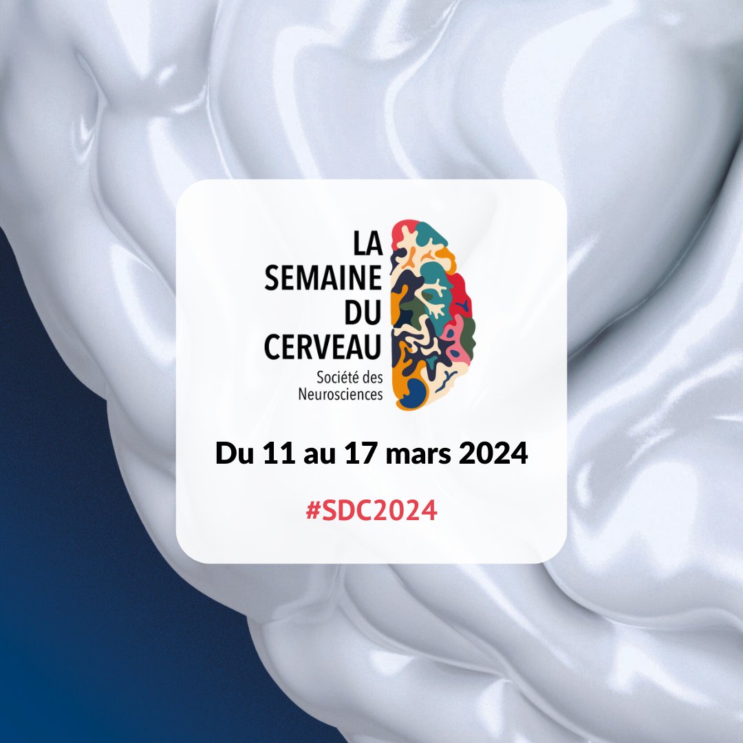 A noter dès maintenant ! 🗓️ La prochaine édition de la Semaine du Cerveau aura lieu du 11 au 17 mars 2024. Vous souhaitez devenir partenaire ? Rendez-vous sur notre site internet : semaineducerveau.fr #SDC2024 #neurosciences