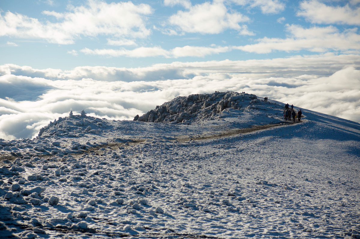 Mark Shepherd tweet media