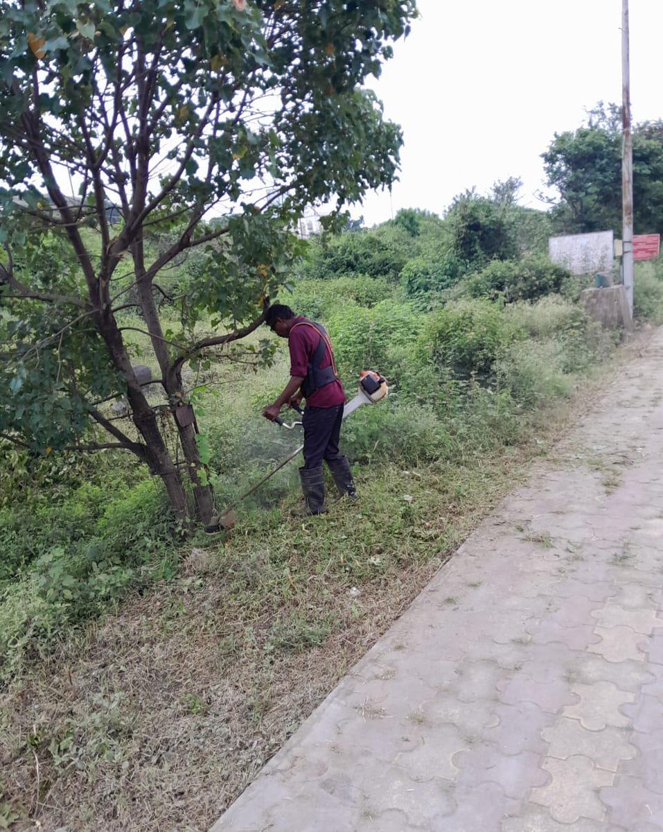 board_ceo's tweet photo. Cleanliness Drive such as a vegetation removal in cantt. area Under the Swachhata Hi Seva-Garbage Free India 2023 Campaign. #SHS2023 #GarbageFreeIndia @PMOIndia @DefenceMinIndia @adgcantts_dgde @pddesc https://t.co/CqwlOTpgZf