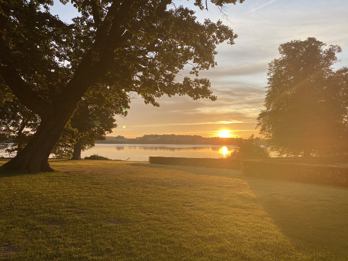 Janet Rafner tweet media