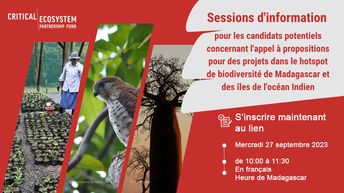 SAF_FJKM's tweet photo. Pour vous informer sur l'appel du CEPF en cours et avoir la possibilité d'échanger directement avec l'équipe de la RIT, rejoignez la session d'information en ligne le mercredi 27 septembre de 10 h à 11 h 30 (heure de Madagascar). Lien d'inscription :  https://t.co/3Y1DAHDvRf https://t.co/bJZ5dSSFxZ