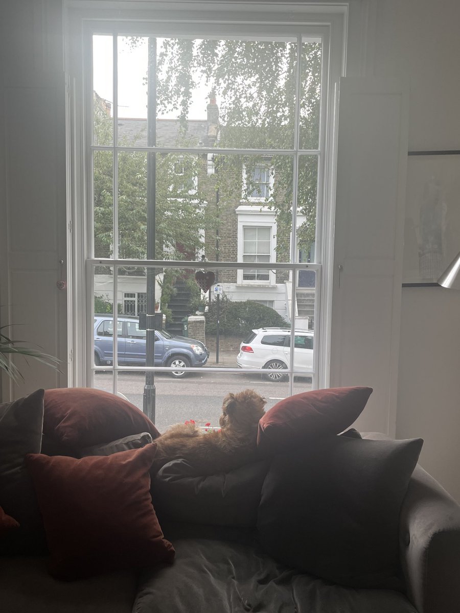 Mark Earls tweet media