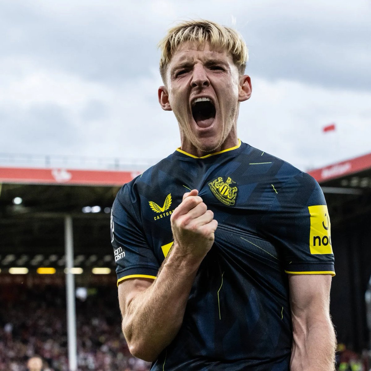 toonarmy_com's tweet photo. 🗣 Anthony Gordon:

“I’m in the best place physically I’ve been in my whole career. I feel really quick and sharp and that’s showing in my play. I feel I’m able to do a lot of combination play around the box and recover if we lose the ball. I feel great.
I was a bit disappointed [at not starting]. I want to start every game. I feel like I’m playing well so I didn’t want to come out but ultimately we’ve got a really difficult season coming up which will involve large squad rotation I’d imagine.
It’s a team game and when I came on it was just about playing my part. There was no sulking on my part, I just wanted to impact the game as much as I could for the team.” 👏 #NUFC