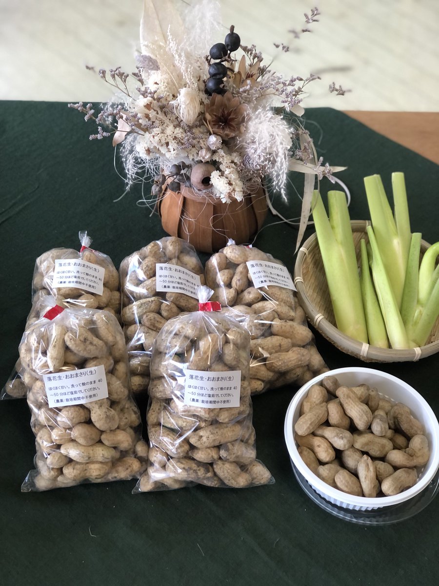 POMG_POMG's tweet photo. 無農薬生落花生🥜入荷❣️

🥜は良質なタンパク質やサビない体を作るビタミンEや糖質、脂質をエネルギーに変えるビタミンB群も豊富でバランスの良いミネラルも豊富🥰

炊き込みご飯や煮物、刻んでサラダや和え物に👍

3%の塩水を沸騰させて4、50分茹でたらOK🙆‍♀️
450g入り450円
https://t.co/Qyh4LwEyND https://t.co/UiV7mkEwnt