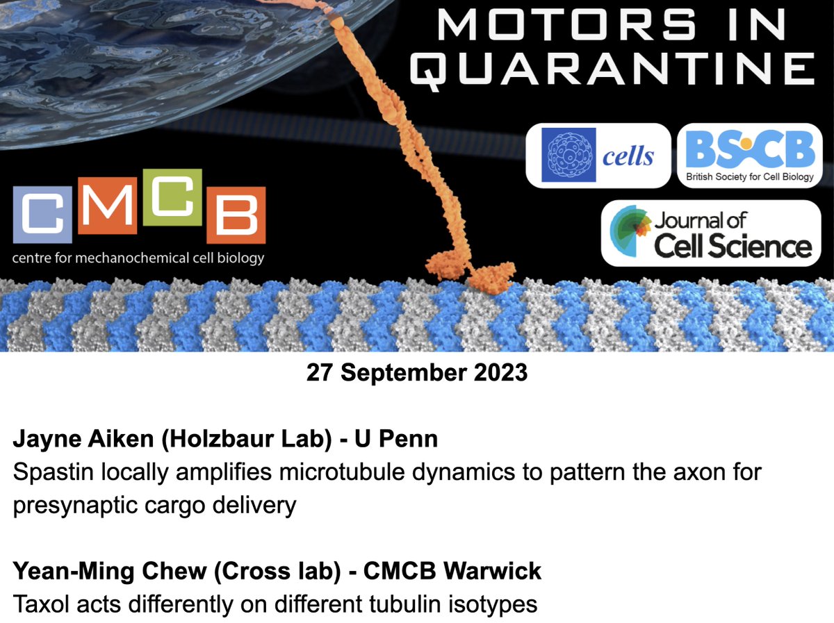 Anne Straube (@annestraube) on Twitter photo #MotorsInQuarantine is back from summer holidays! Please join us on Wednesday when we host <a href="/jayneaiken_/">Jayne Aiken</a> from <a href="/ErikaHolzbaur/">Erika Holzbaur-Howland</a> lab and <a href="/YeanMingChew1/">YeanMingChew</a> from <a href="/_robx/">Robert Cross</a> lab to discuss how microtubule array organisation and microtubule structure modulates transport. mechanochemistry.org/whatson/MiQ/ #MotorsInQuarantine is back from summer holidays! Please join us on Wednesday when we host <a href="/jayneaiken_/">Jayne Aiken</a> from <a href="/ErikaHolzbaur/">Erika Holzbaur-Howland</a> lab and <a href="/YeanMingChew1/">YeanMingChew</a> from <a href="/_robx/">Robert Cross</a> lab to discuss how microtubule array organisation and microtubule structure modulates transport. mechanochemistry.org/whatson/MiQ/