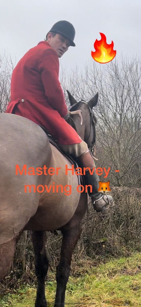 ShropshireWild1's tweet image. Porn star Henry Bailey aka Master Harvey is hunting fox cubs with the Wynnstay at Petton Shropshire @CH_monitors and our monitors are there. If you see them call the police and if safe get video evidence #wildlifecrime #foxes #foxcubs @WMPRuralMatters