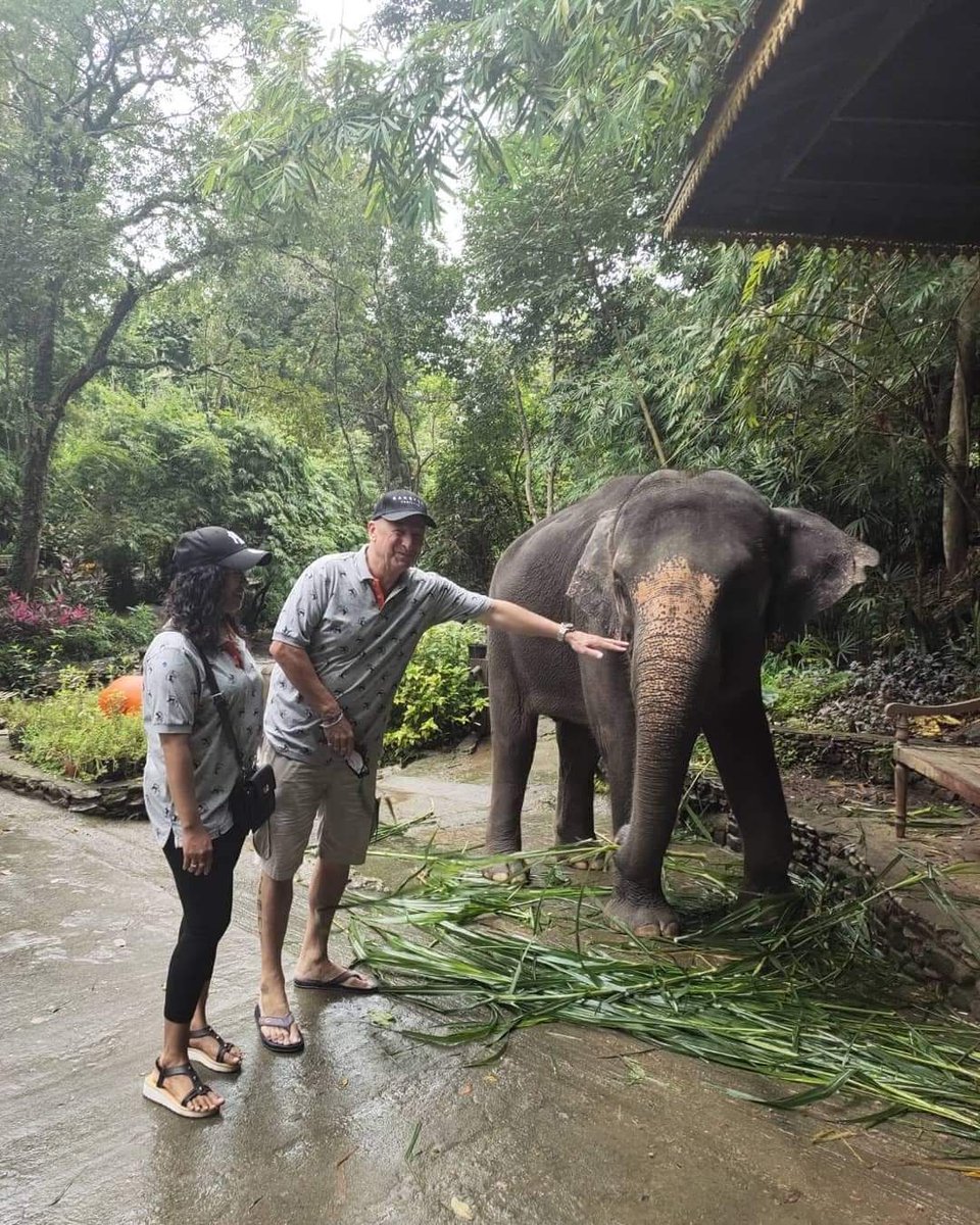 James78London's tweet photo. #Chiangmai #Thailand https://t.co/jgb1A9BVeY