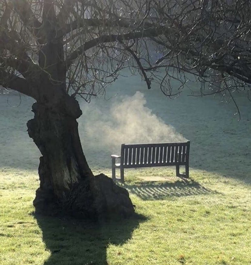 Morning walk in Belfast. One second after the sun touched him … poof he was gone 🧛😳
#writerscommunity