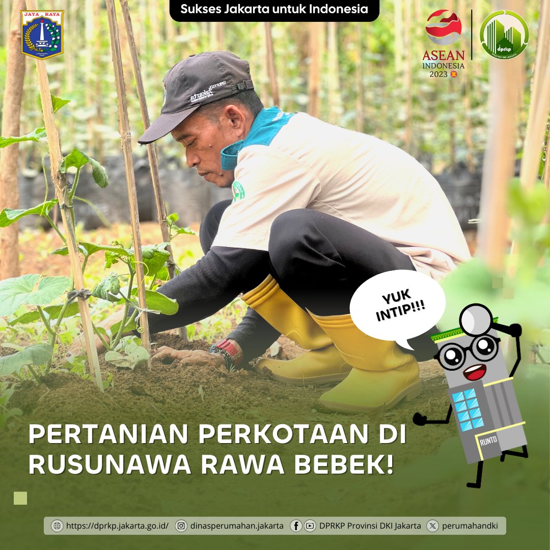 perumahandki's tweet photo. Hai, #SobatRuKim!

MinRukim sedang berada di Rusunawa Rawa Bebek untuk melihat pertanian perkotaan (urban farming) yang ada di sana nih.. (cont)

#JAKI #DPRKP
#DinasPerumahan https://t.co/W4EcRbbFoR