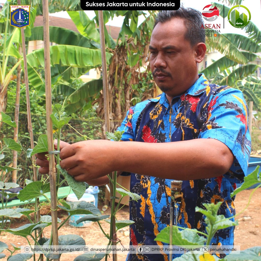 perumahandki's tweet photo. Hai, #SobatRuKim!

MinRukim sedang berada di Rusunawa Rawa Bebek untuk melihat pertanian perkotaan (urban farming) yang ada di sana nih.. (cont)

#JAKI #DPRKP
#DinasPerumahan https://t.co/W4EcRbbFoR