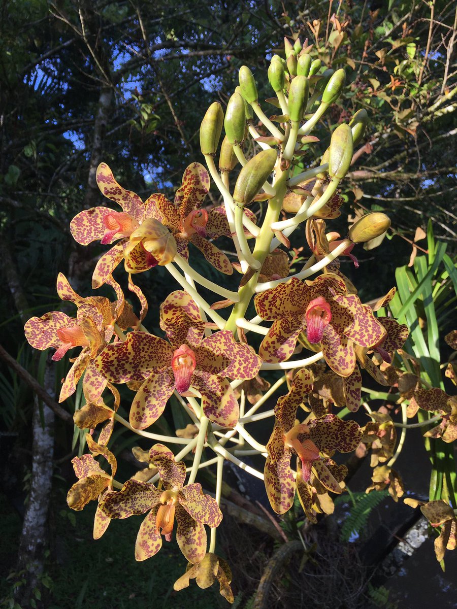 Jennifer Sheridan tweet media