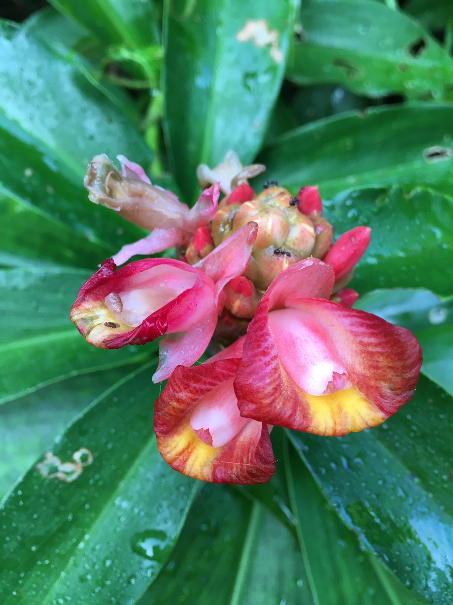 Jennifer Sheridan tweet media