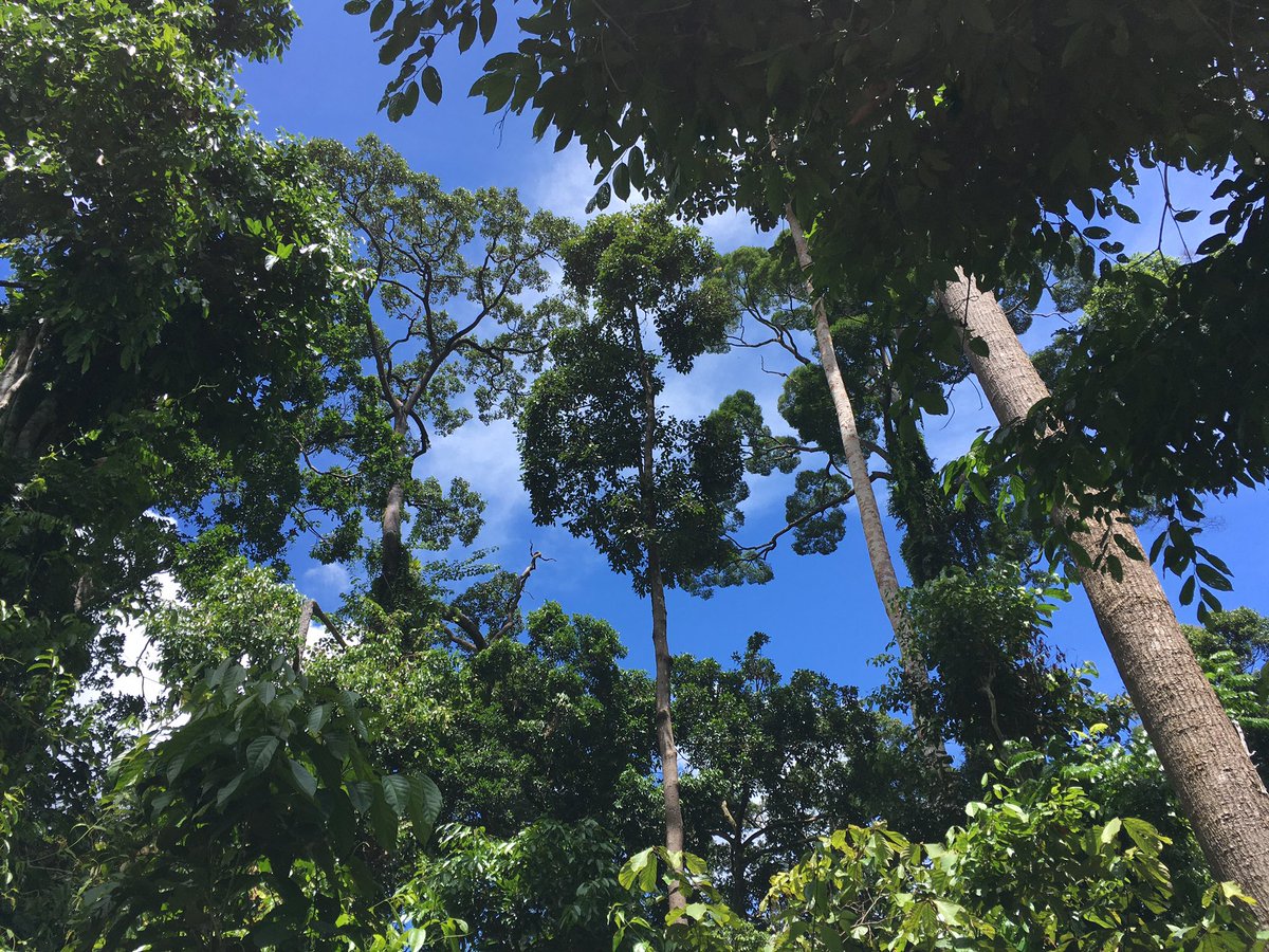 Jennifer Sheridan tweet media