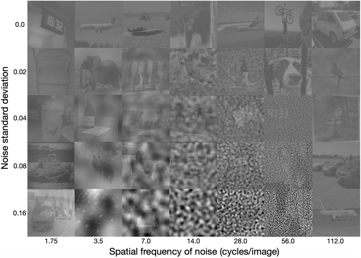 The first publication of my PhD and my first 10-rated review! Thrilled to share our @NeurIPSConf'23 Oral finding large differences in frequency tuning between humans and neural networks, which strongly explain shape bias and robustness! arxiv.org/pdf/2309.13190… 🧵(1/4)